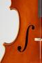 violoncello_2009_01[1].JPG