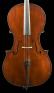 Gottius-cello-1888-ft.jpg