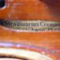 世界上有多少把Stradivari ?