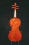 violino_2006_tri_2_big.jpg