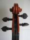 杨,金龙-Violin-2011