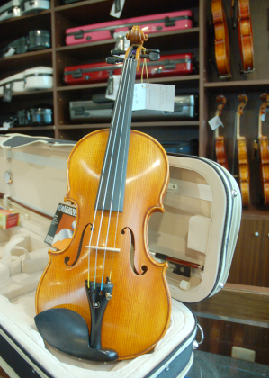 <a href=http://pic.violinwatch.com/uploadfile/2011/0713/20110713020007662.bmp target=_blank>Check big picture</a>